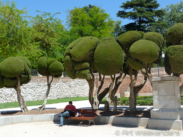 Spain-Madrid-relaxing-trees