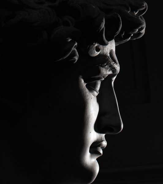 David,_Firenze_exhibition