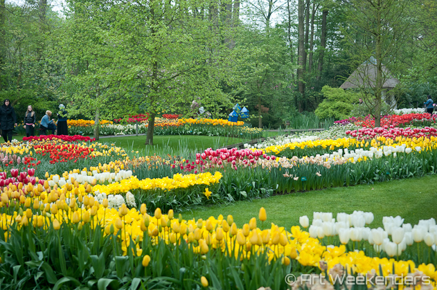 Keukenhof Gardens, Lisse, The Netherlands.