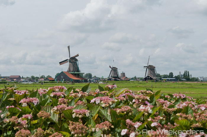 What is the history of the windmill?