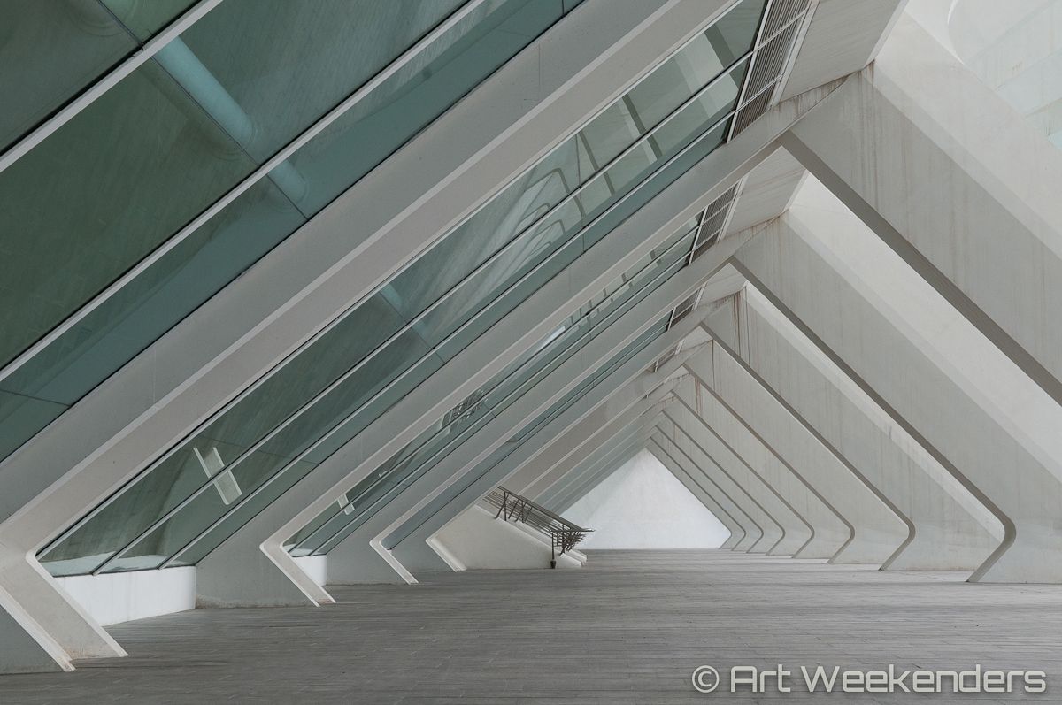 Valencia's Ciudad de las Artes - Spain_Valencia_CiudaddelasArtesyCiencias_Lydian_Brunsting_AW11