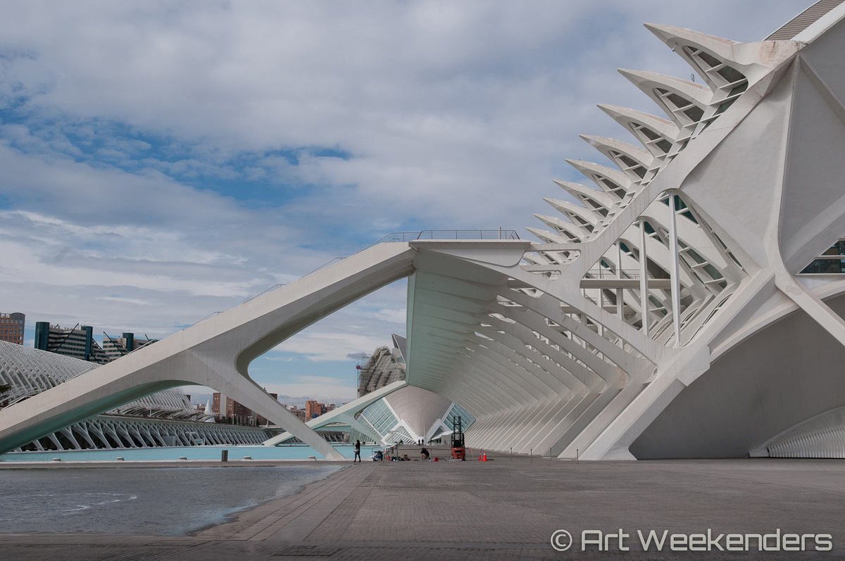 Valencia's Ciudad de las Artes - Spain_Valencia_CiudaddelasArtesyCiencias_Lydian_Brunsting_AW12