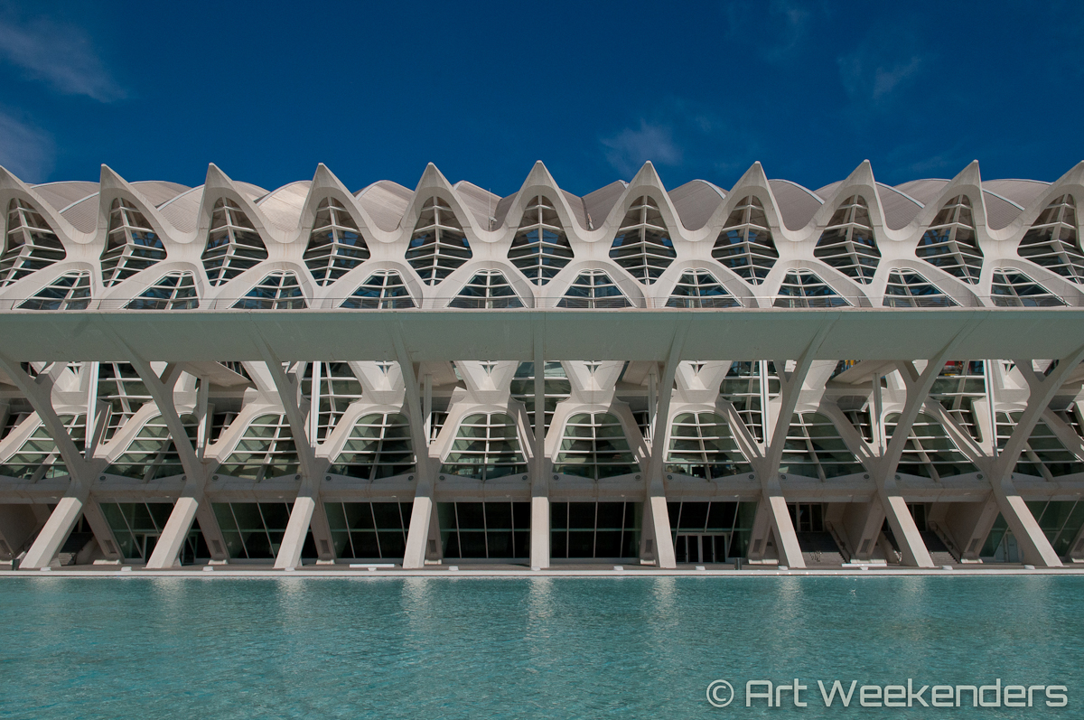 Valencia's Ciudad de las Artes - Spain_Valencia_CiudaddelasArtesyCiencias_Lydian_Brunsting_AW7