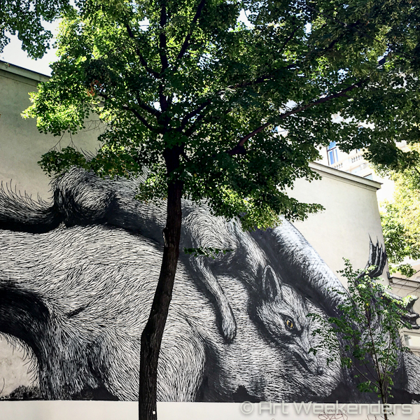 Roa Street art in Vienna Austria