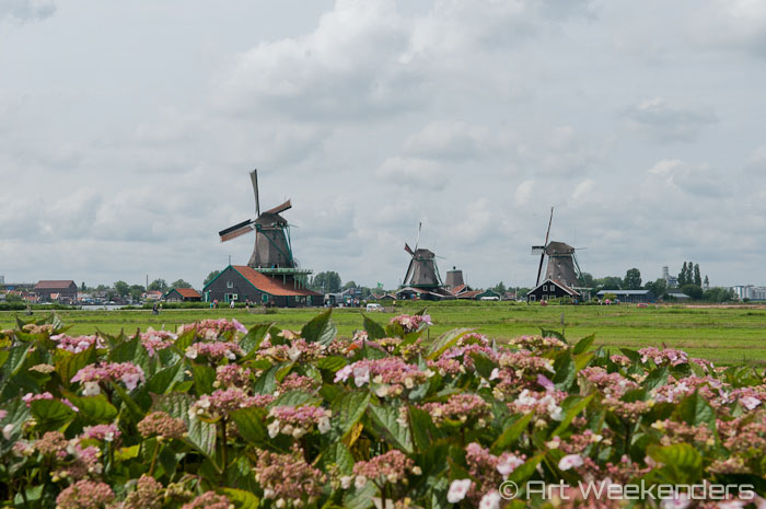 Windmills in Dutch art have an important role. But why so predominantly in Dutch art and less in other parts of Europe?