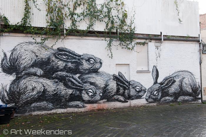 Belgium_Ghent_Street_Art_Roa